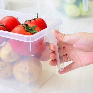 Plastic Refrigerator Fruit Vegetable Basket for Kitchen Dining Table Plastic promax.pk