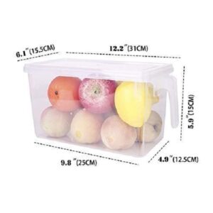 Plastic Refrigerator Fruit Vegetable Basket for Kitchen Dining Table Plastic promax.pk