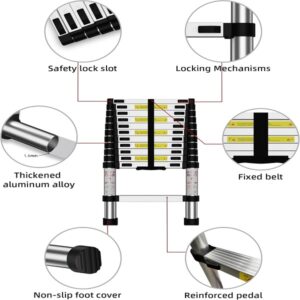 Aluminum Telescopic Ladder 3.2m 10 Fit Promax.pk